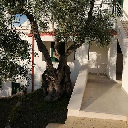 Villa Elisa Vieste Exterior photo